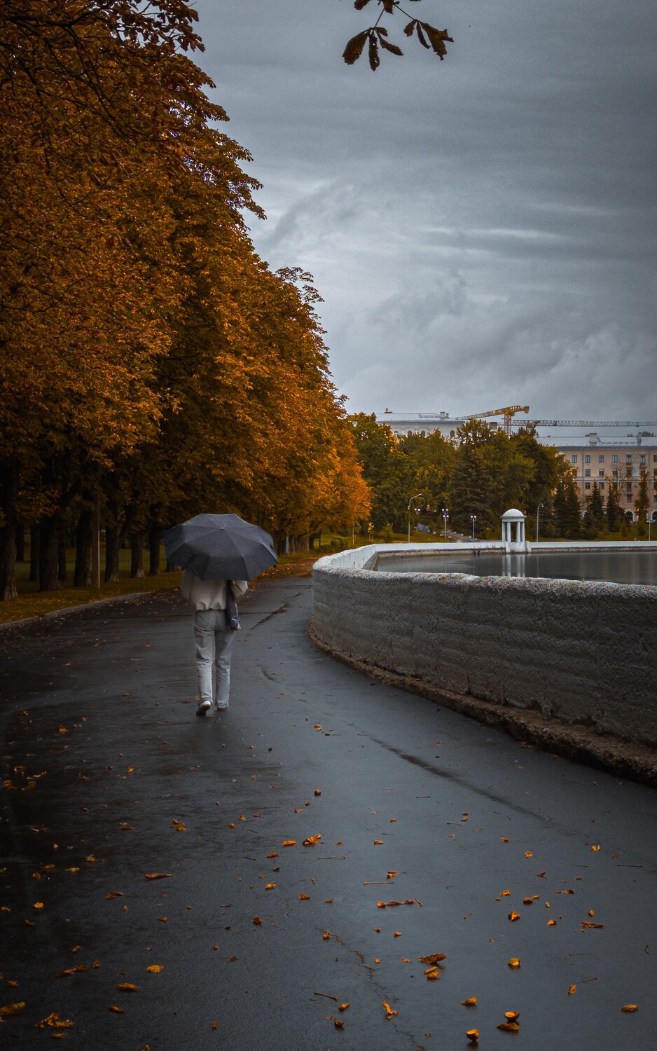 Photo #14102790