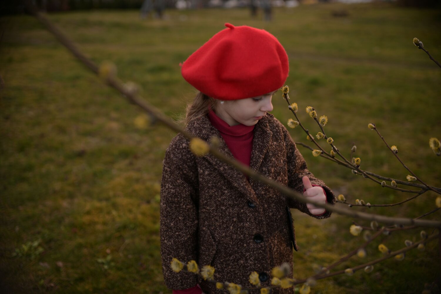 Photo #14102791