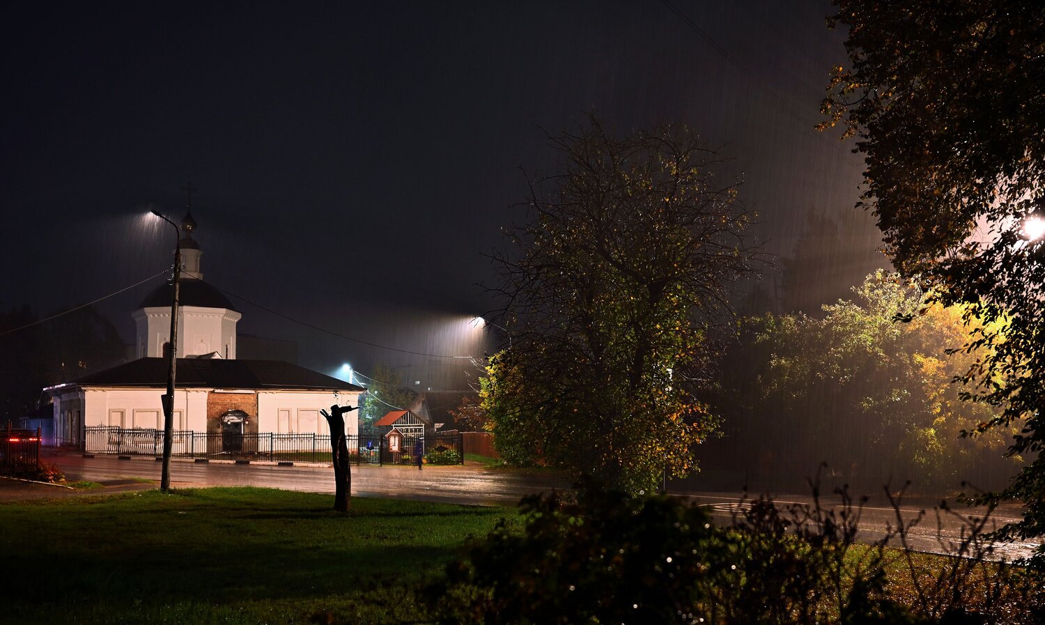Photo #14102802