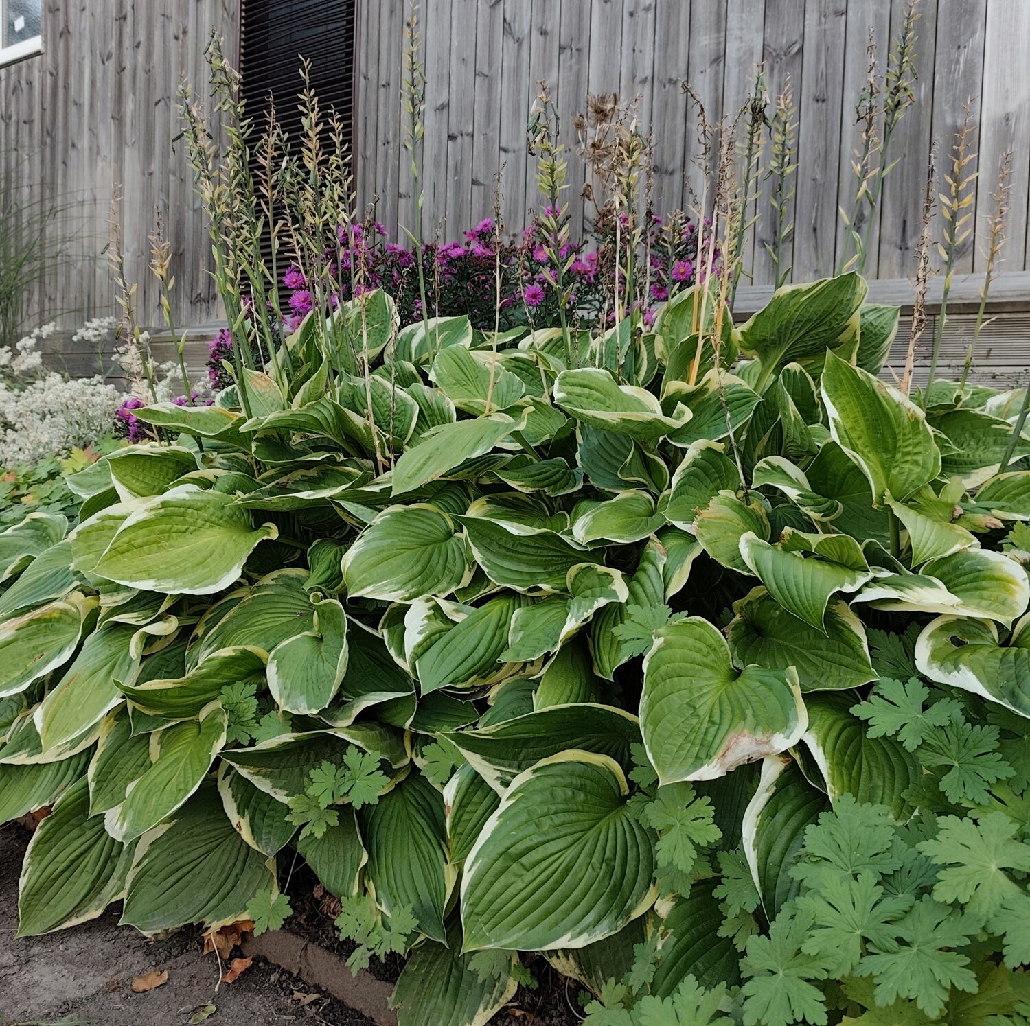Photo #14102838