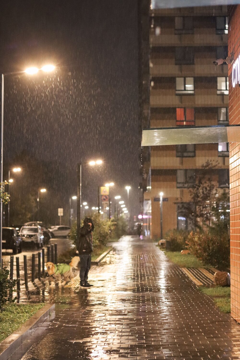 Photo #14102841