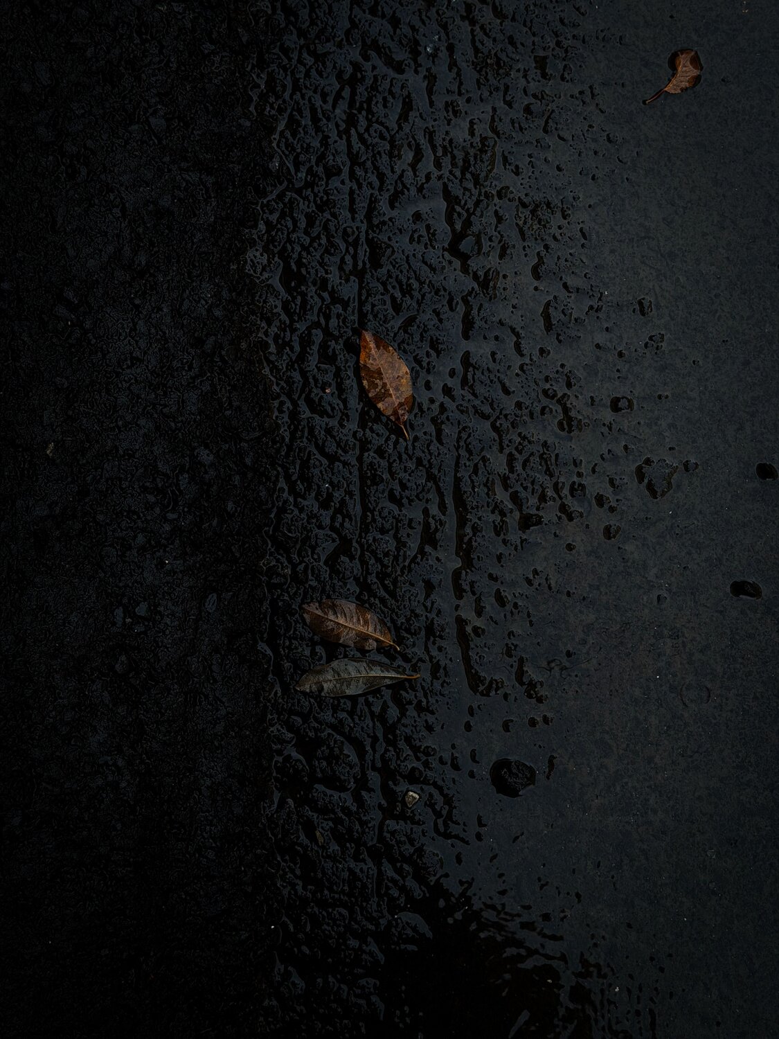 Photo #14102849