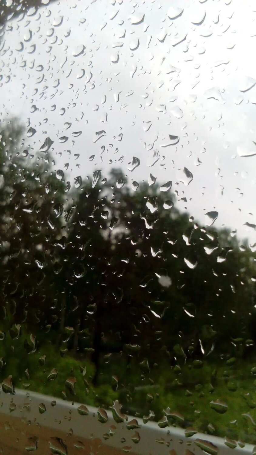 Photo #14102856