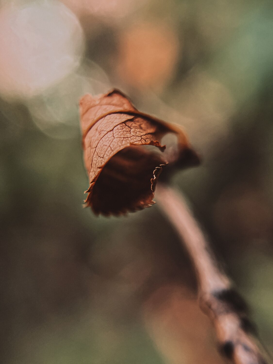 Photo #14102875