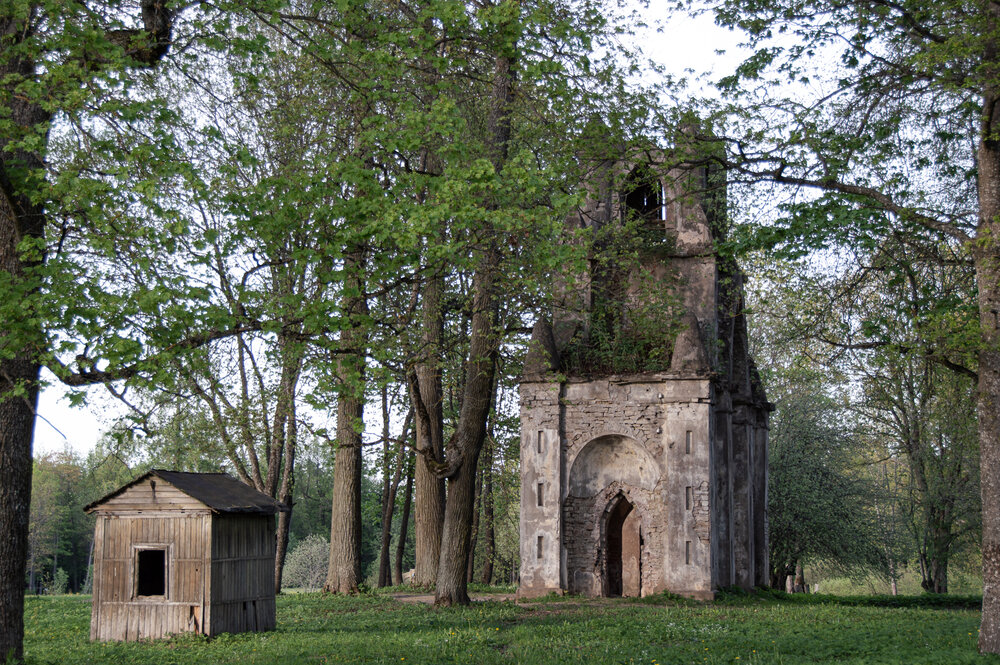 Фотография автора Татьяна