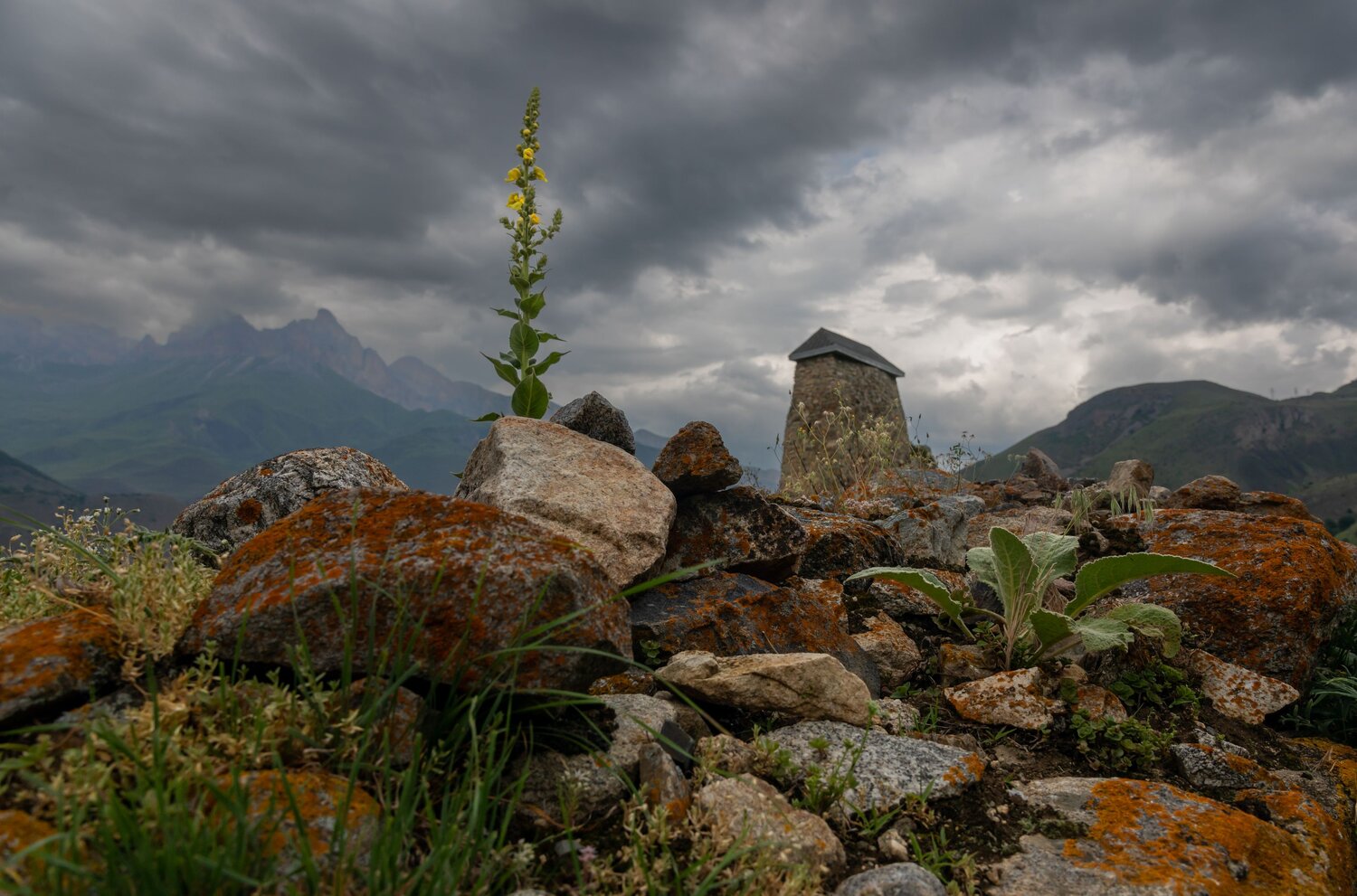 Photo #14102917