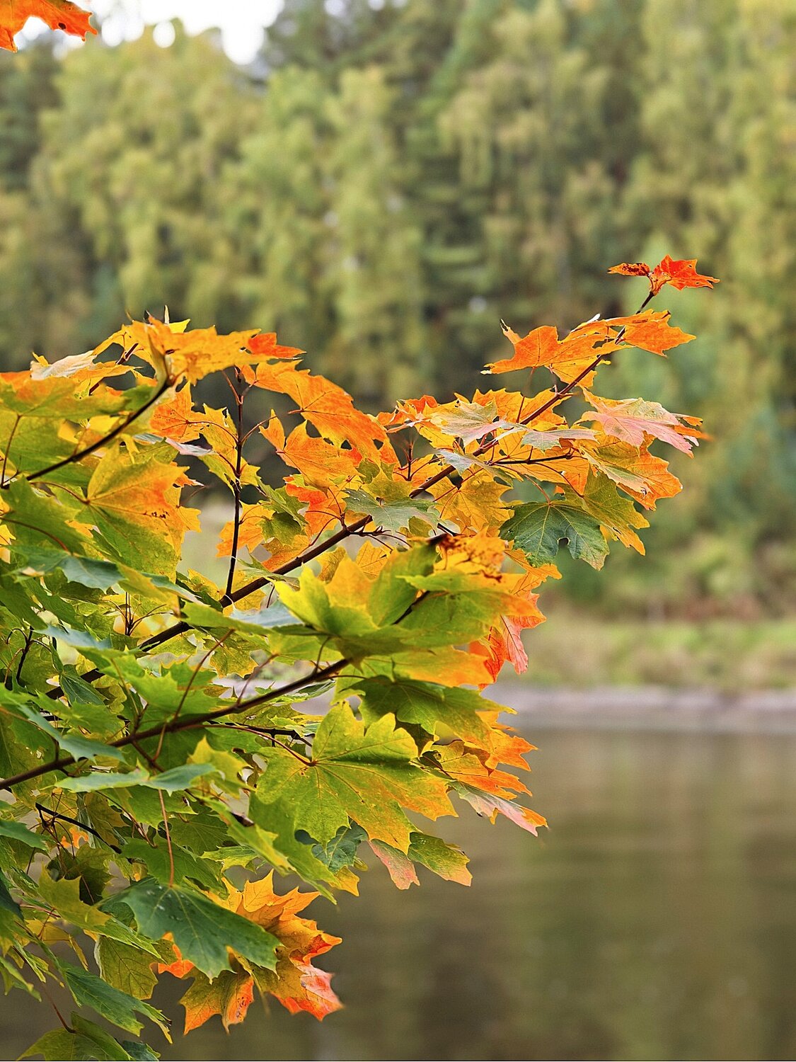 Photo #14102922