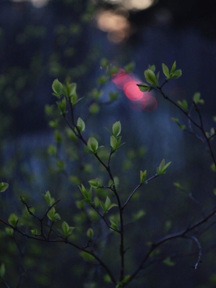 Photograph by Анна Власова