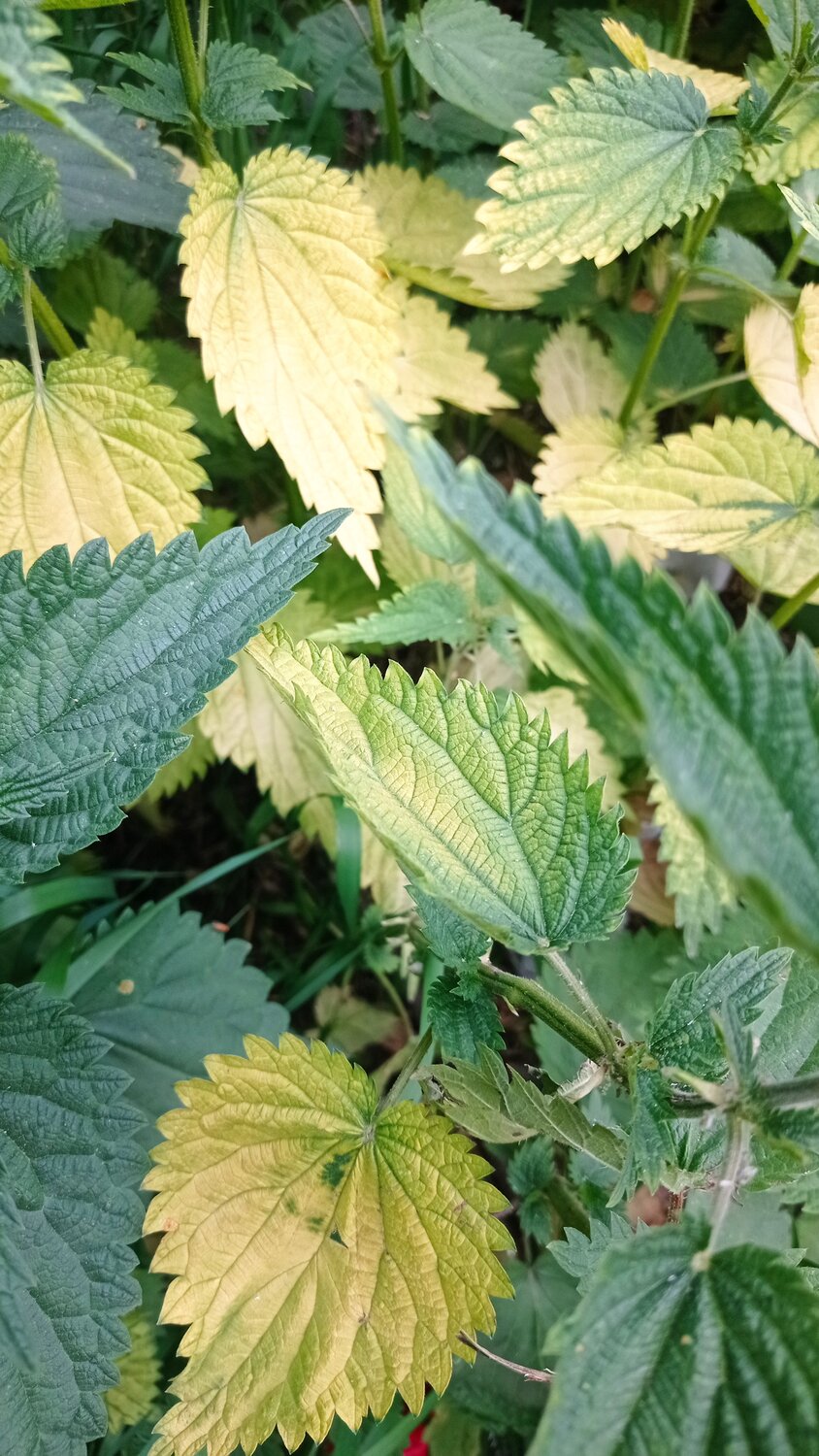 Photo #14103103