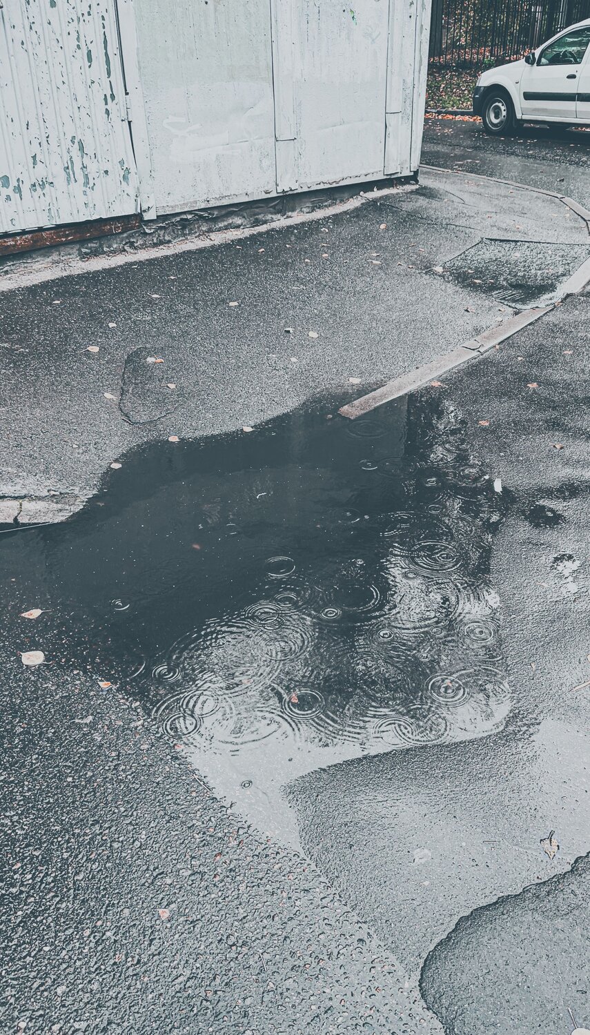 Photo #14103134