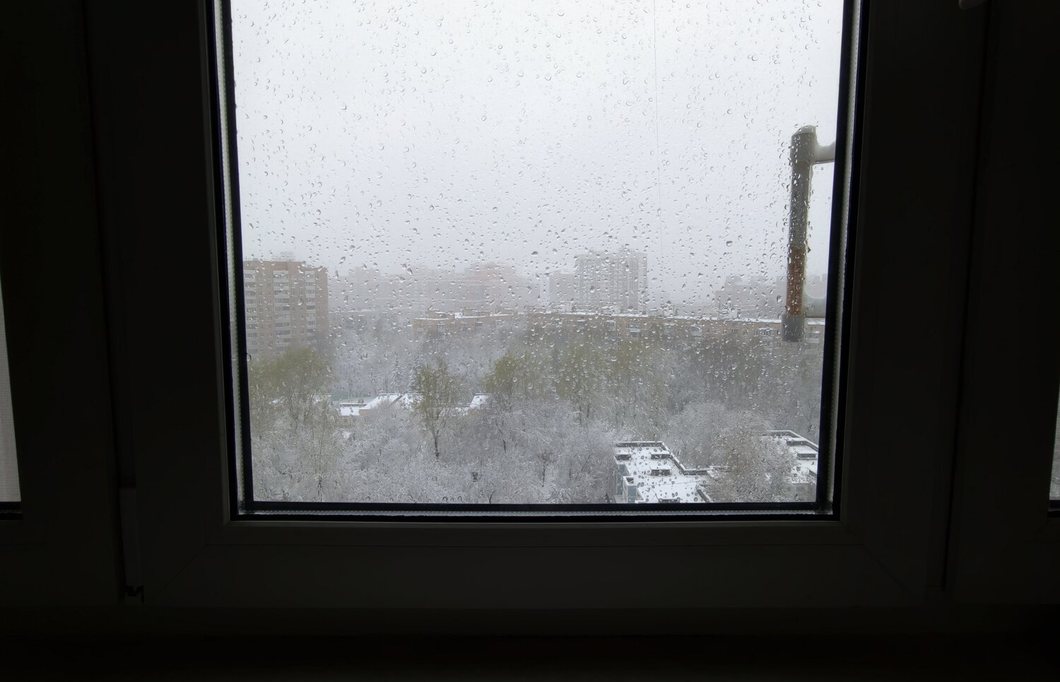 Photo #14103184