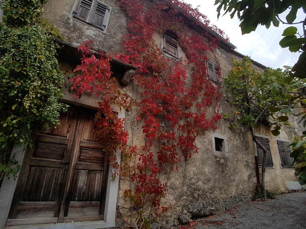 The old house