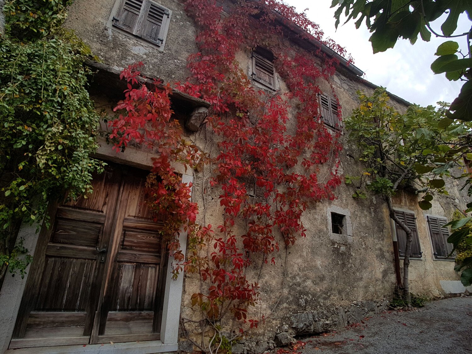 The old house