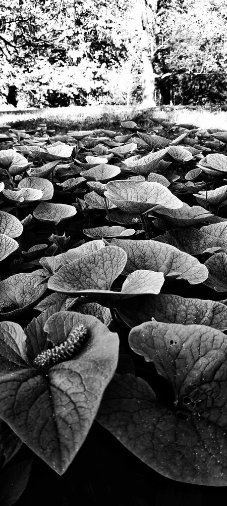 Photograph by Елена Третьякова