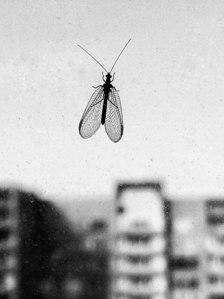 Photograph by Елена Третьякова