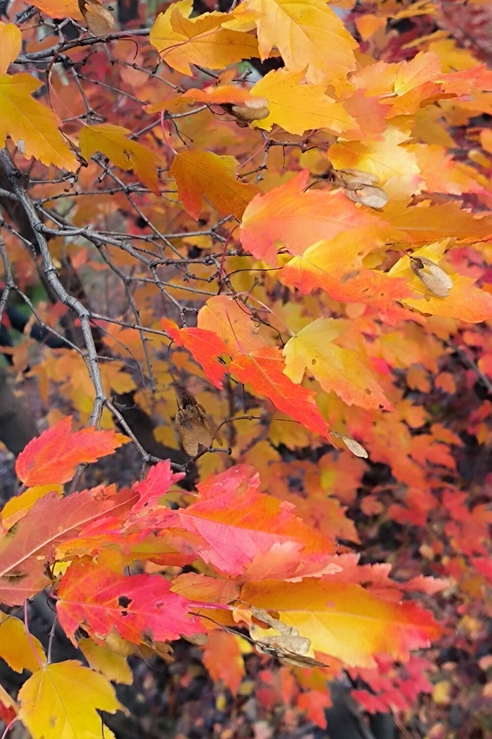 Photo #14103296