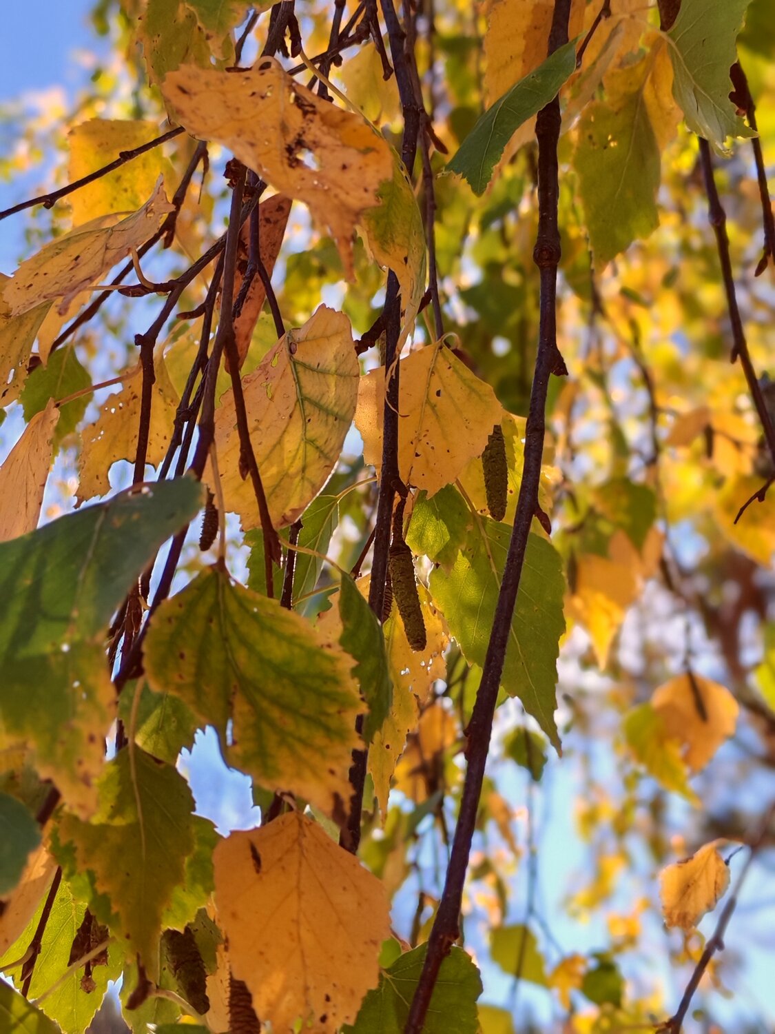 Photo #14103314