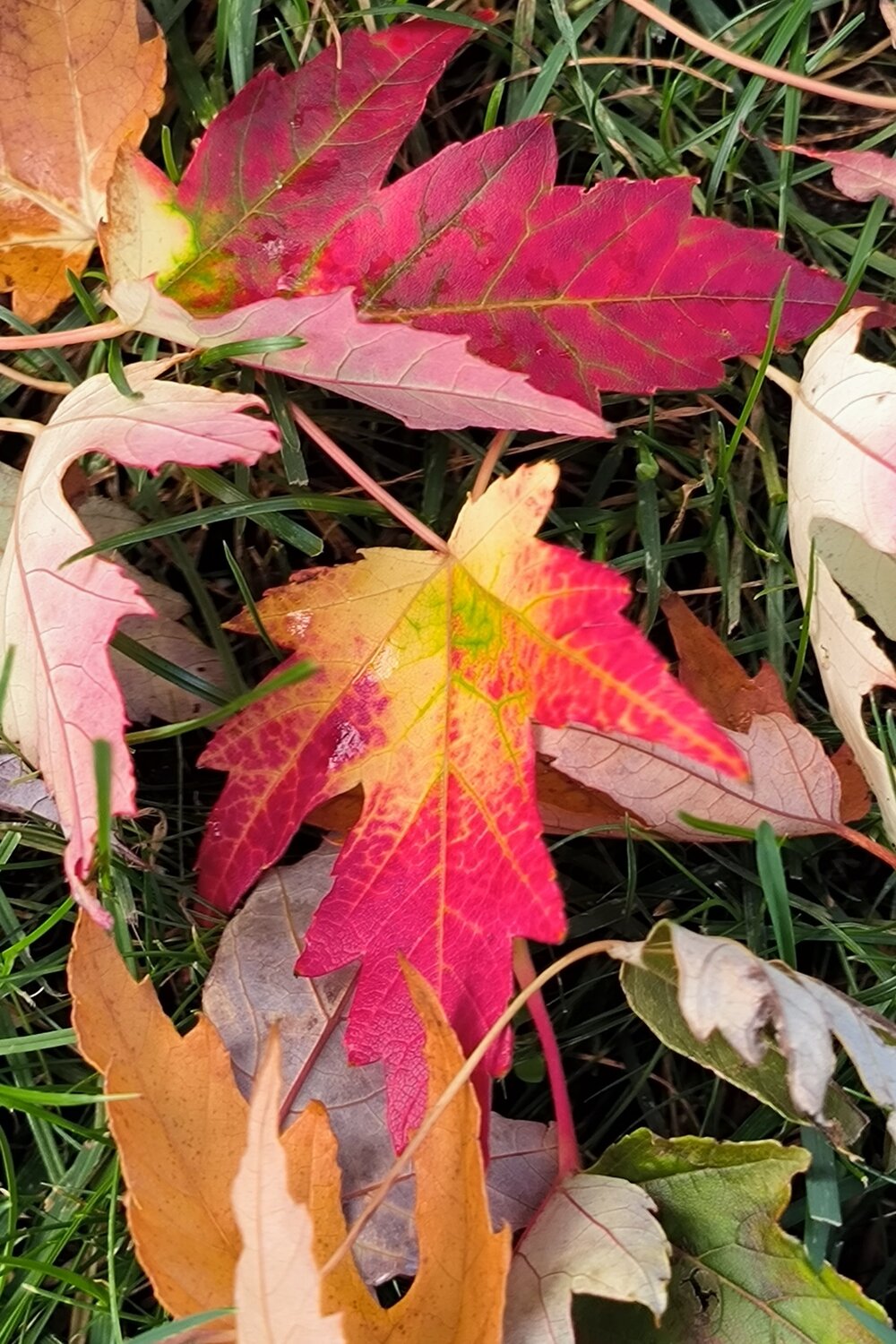 Photo #14103340
