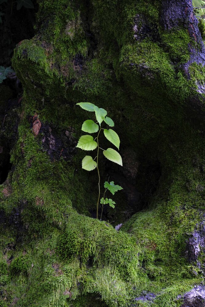 Photograph by David Kvachadze