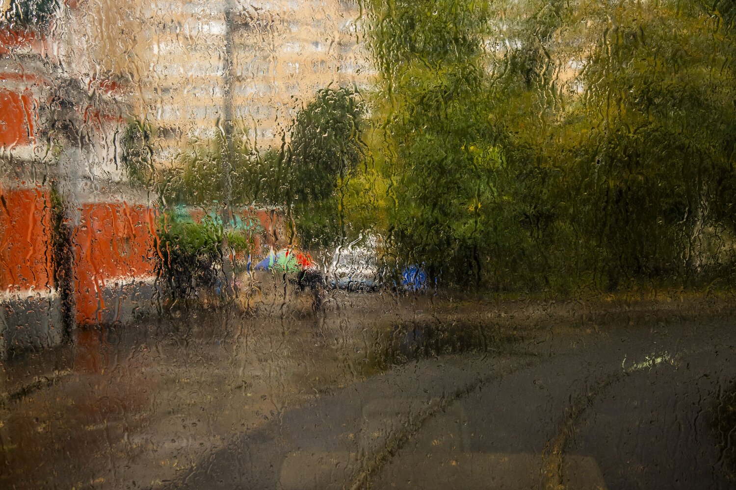 Фотография #14103410