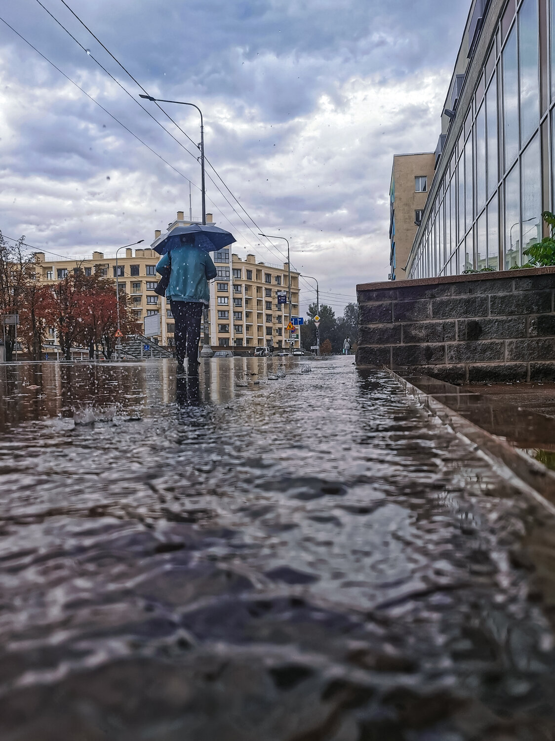 Photo #14103432