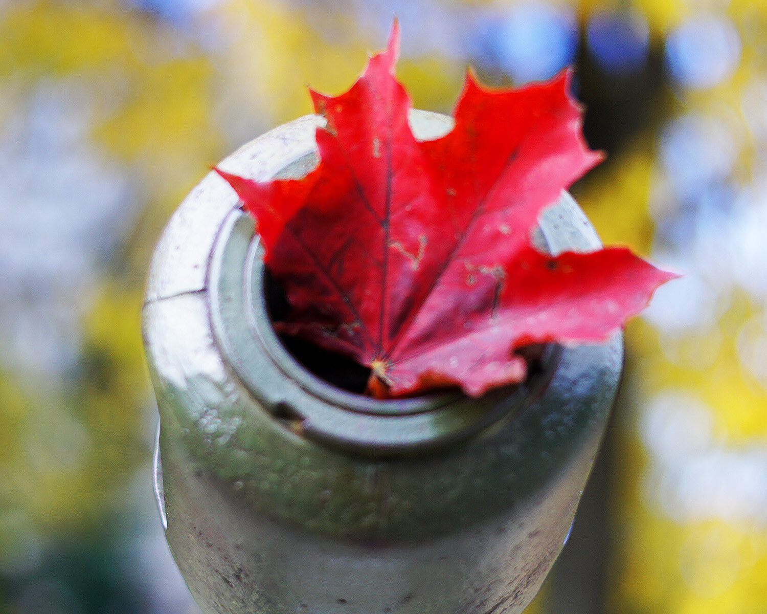 Photo #14103433