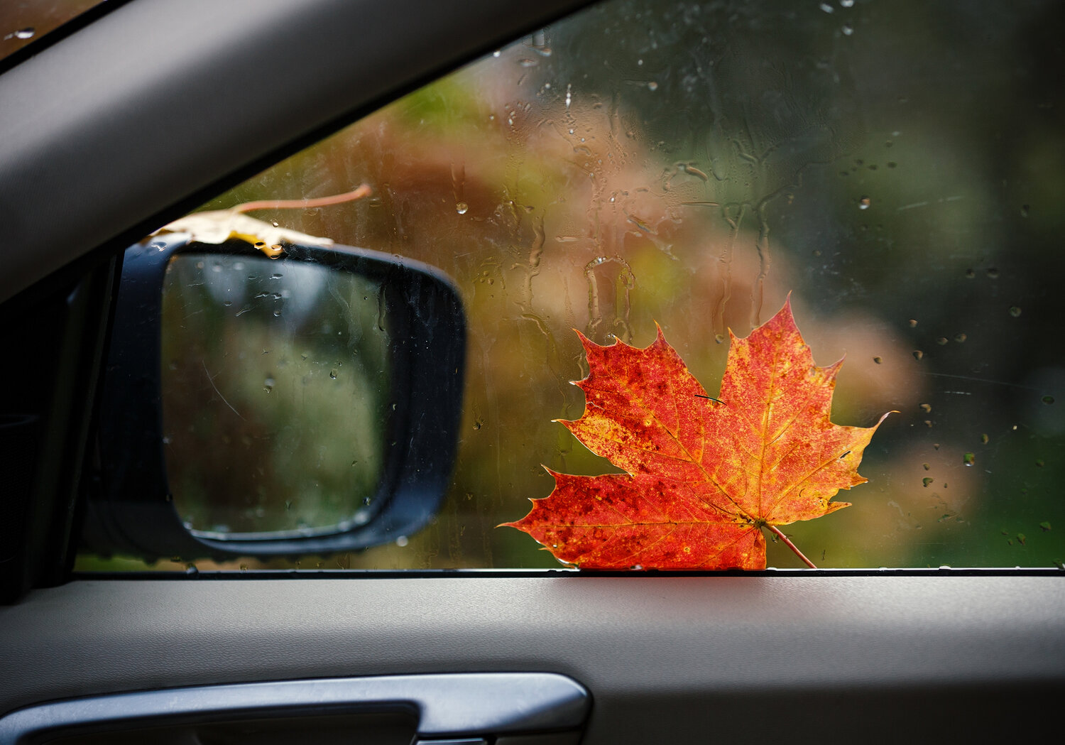 Photo #14103441