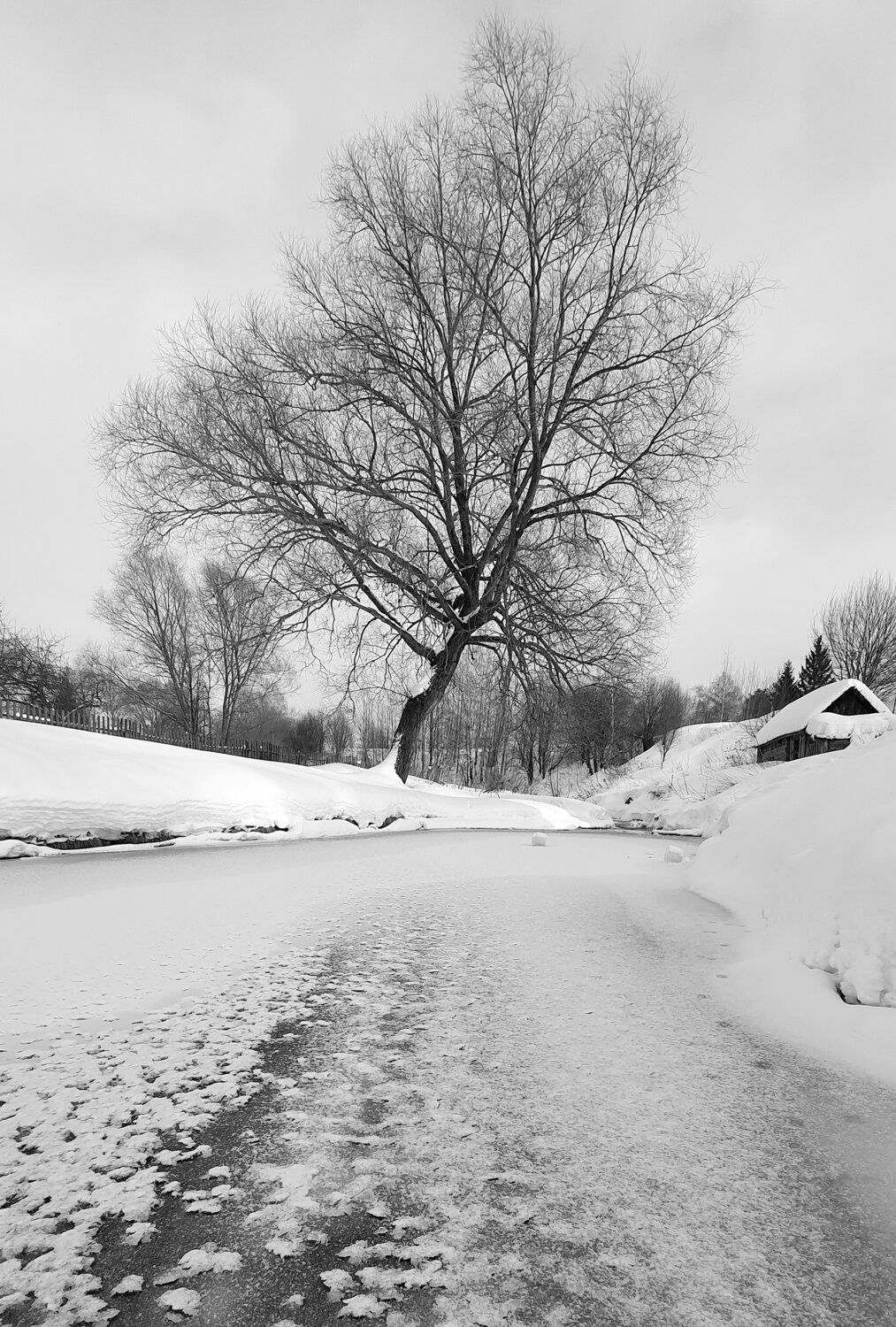 Photo #14103531