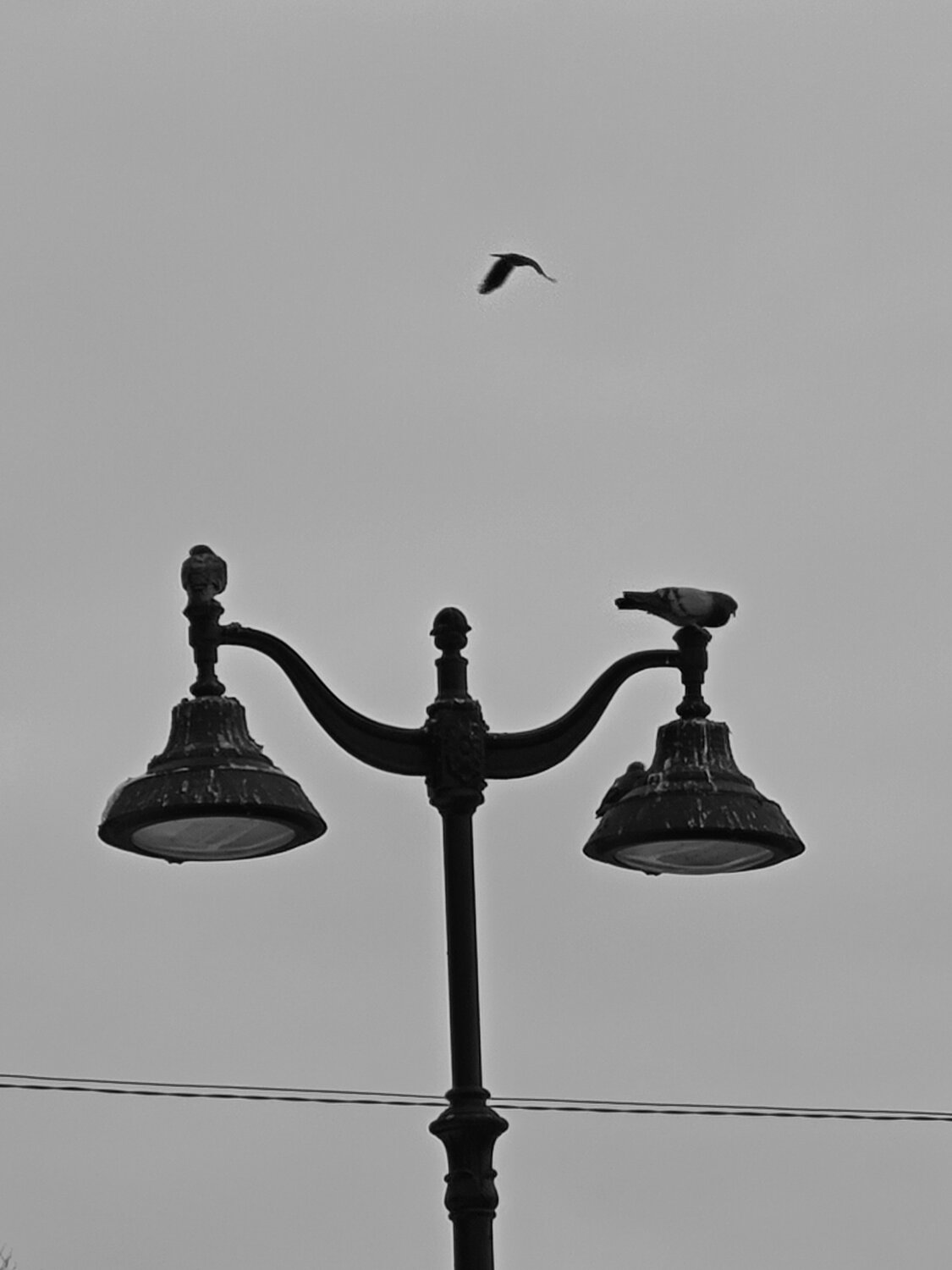 Photo #14103537