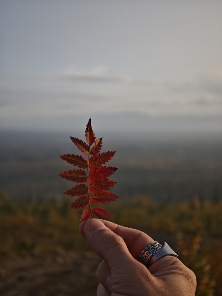 Photo #14103569