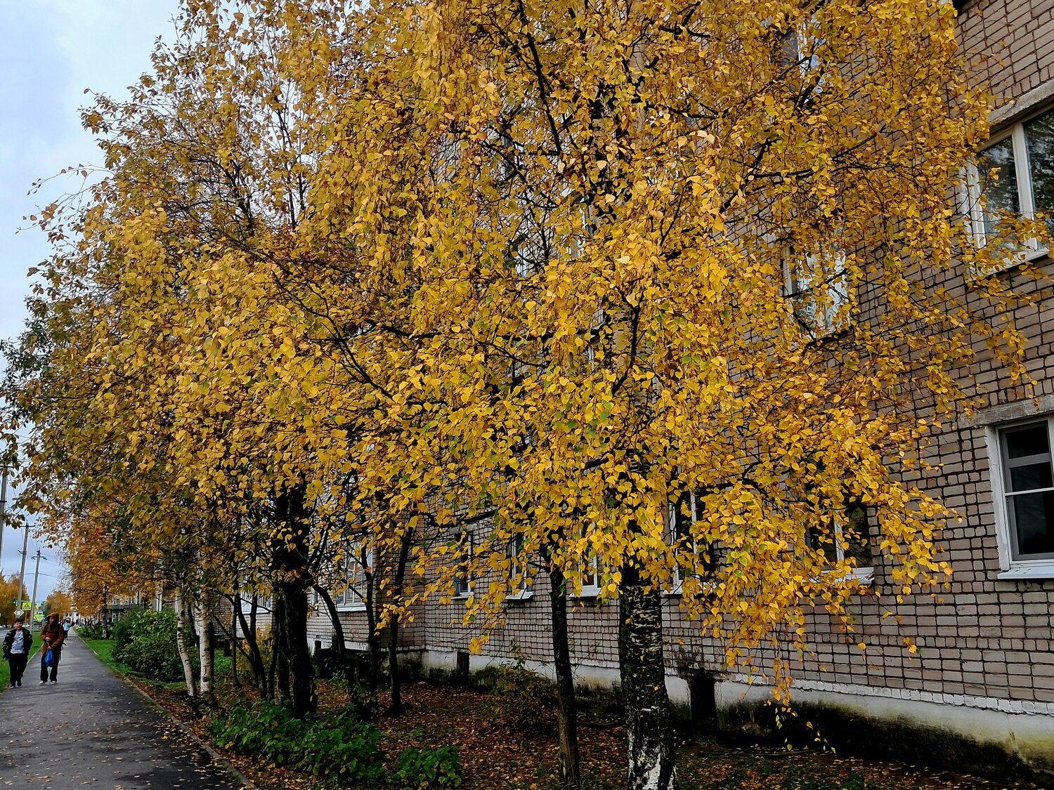Photo #14103607