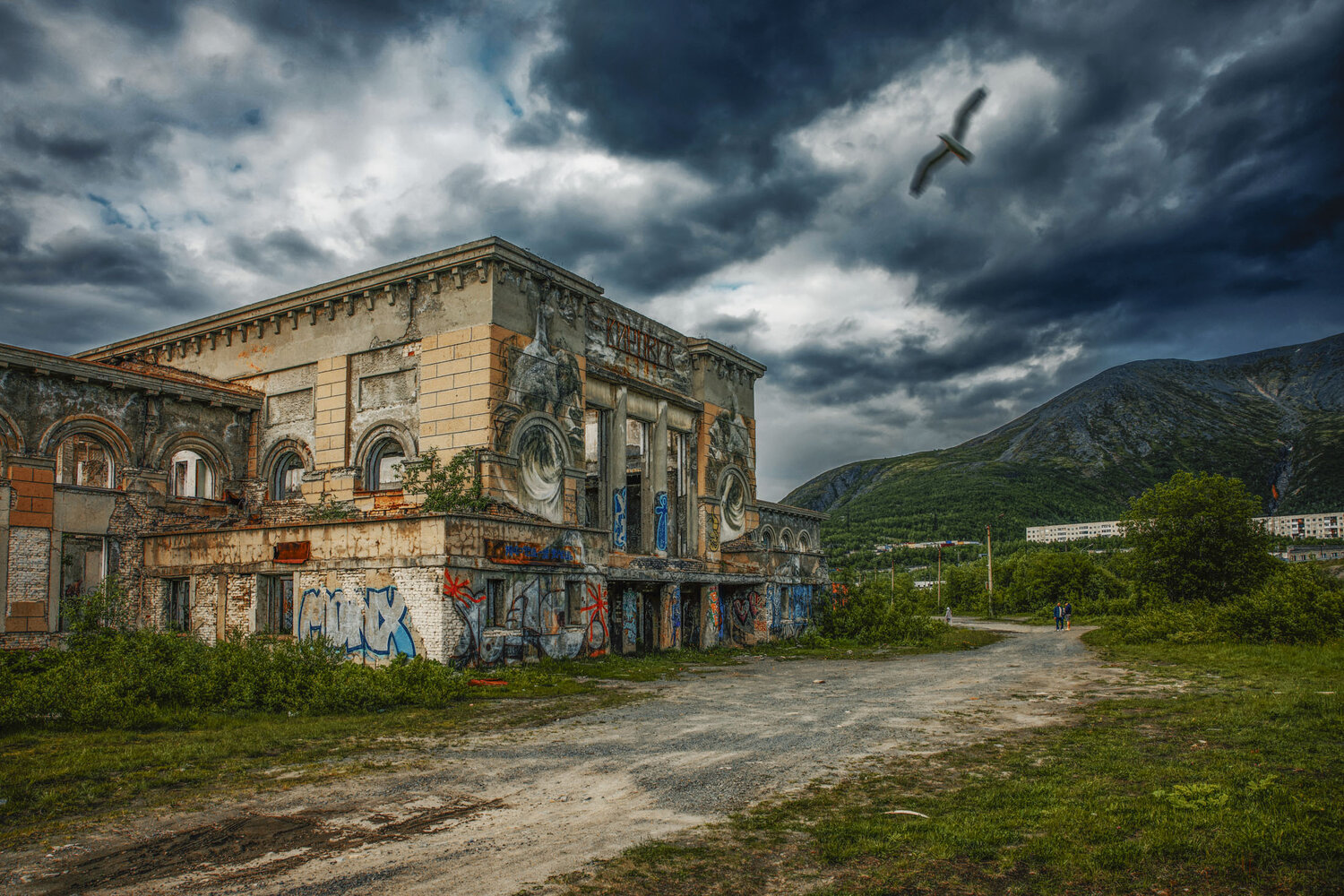 Photo #14103633