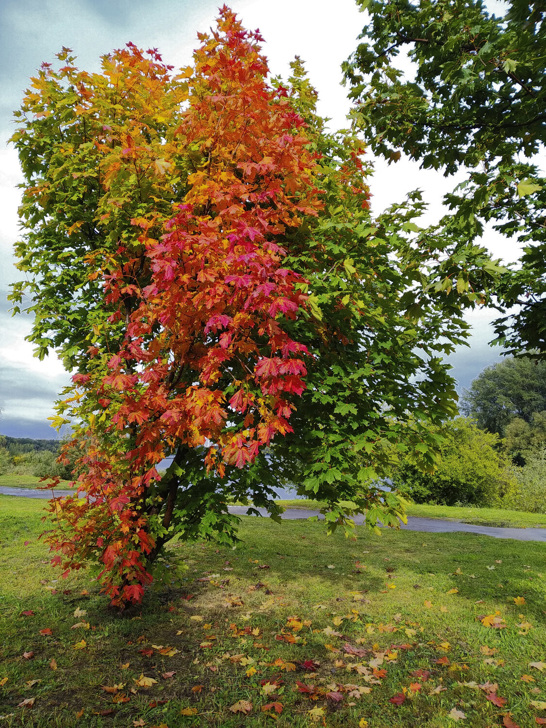 Photo #14103663