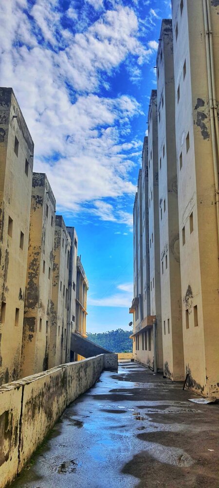 Photograph by Mankotia Shalini