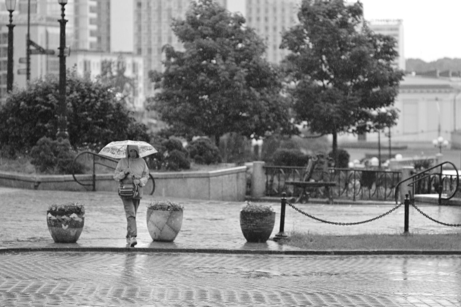 Photo #14103864