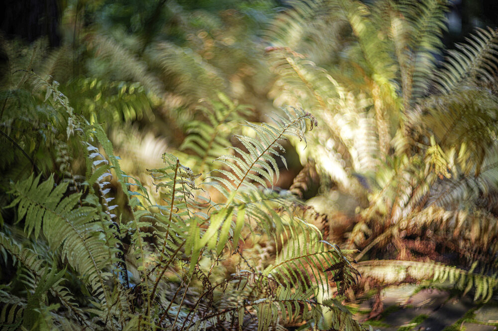 Photograph by Александр Журавлев