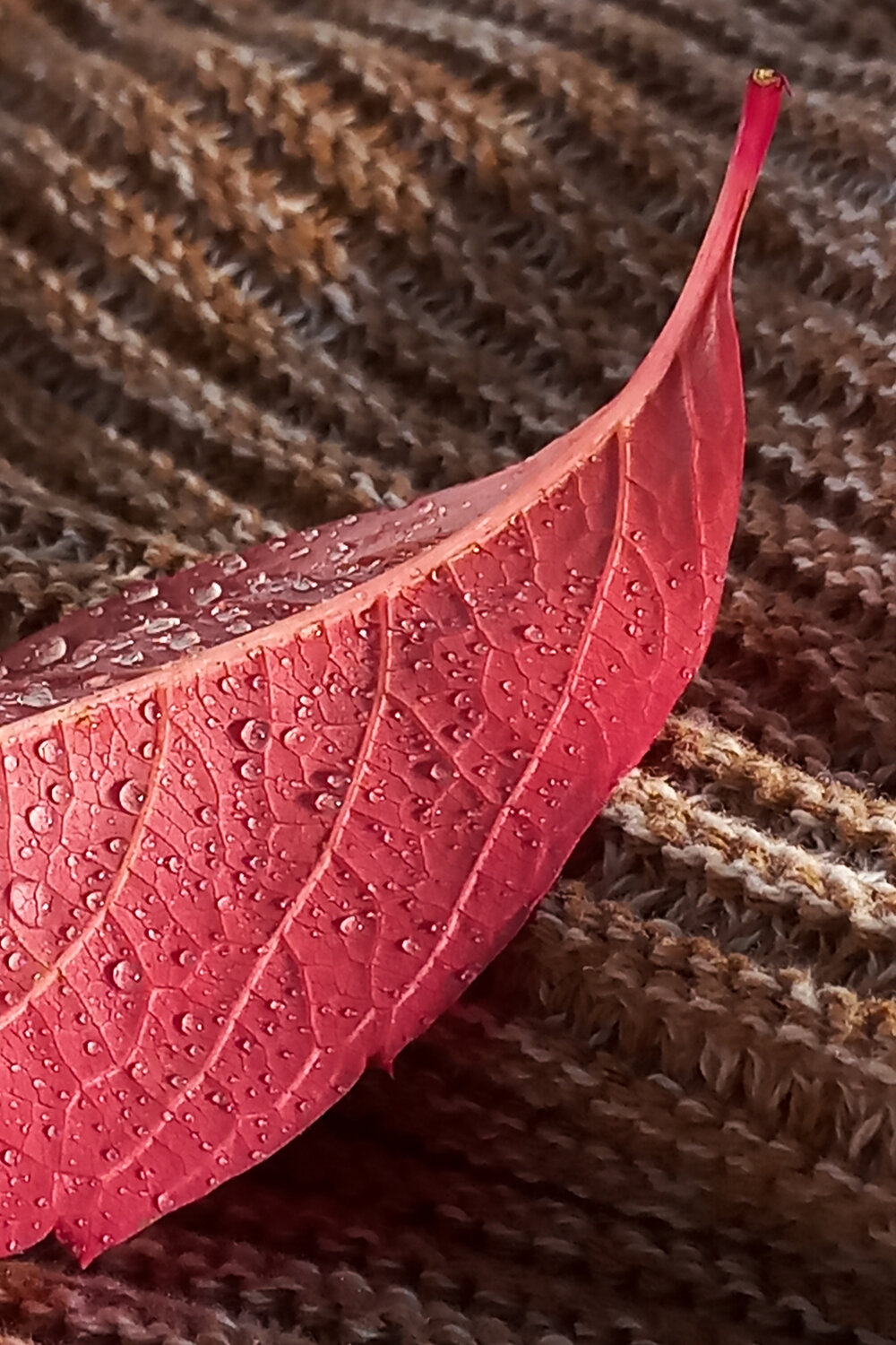 Photo #14103902