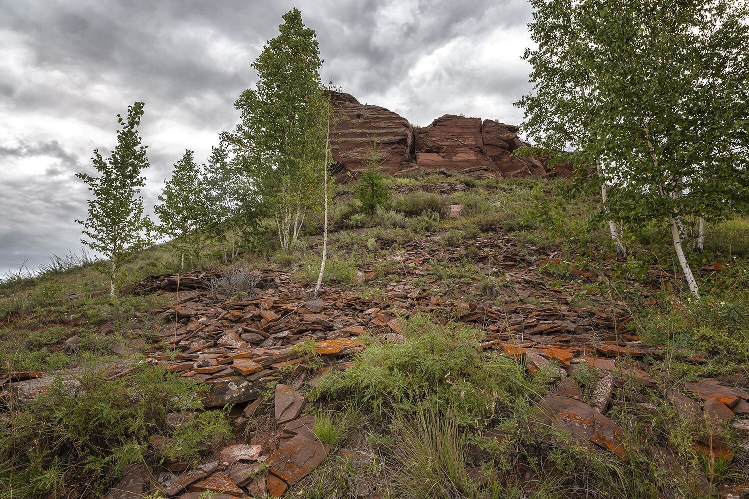 Photo #14103956