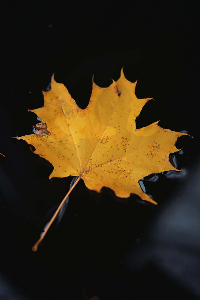 Photograph by Катерина Мельникова
