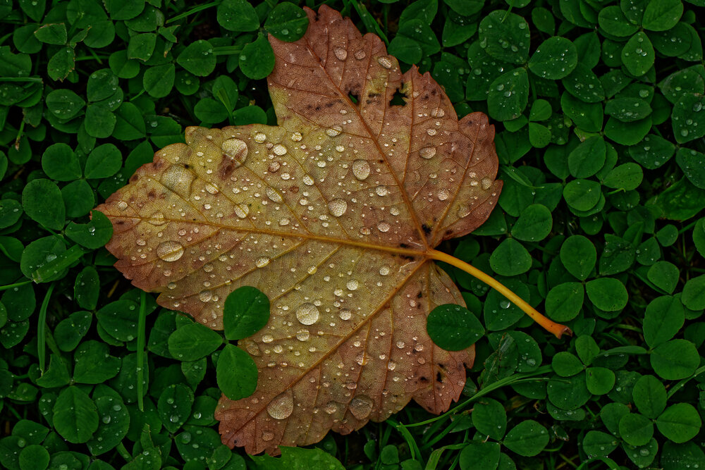Photograph by Jozef Mihalčin