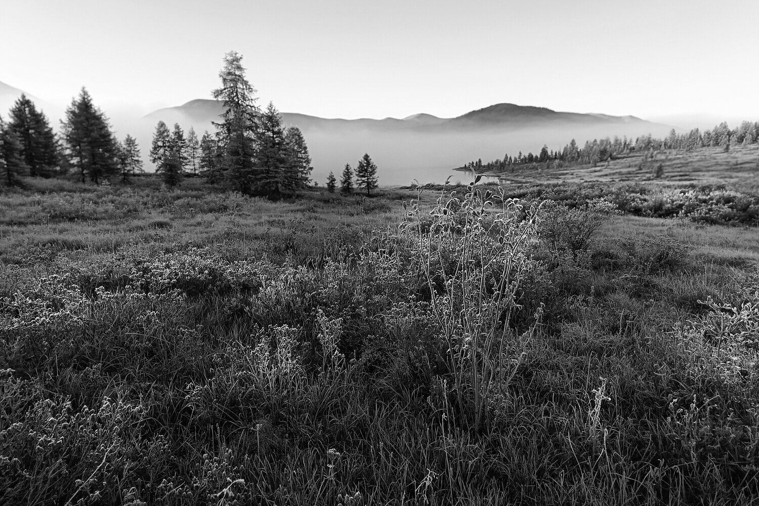 Photo #14104103