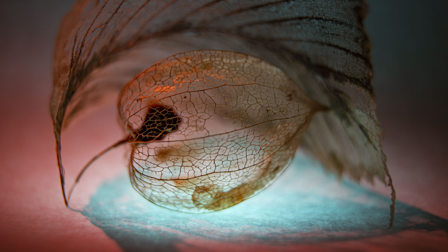 Photo #14104125