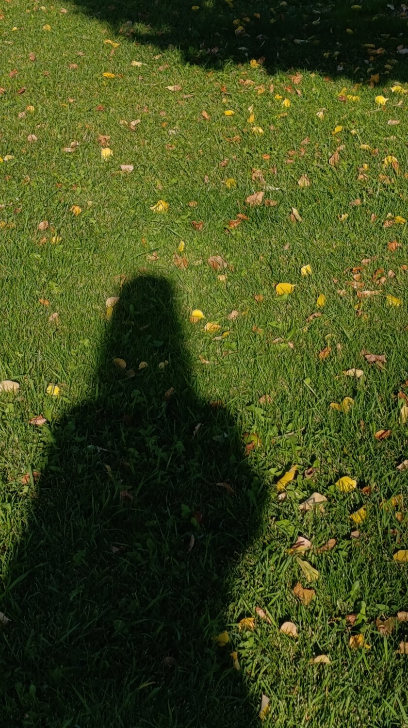 Photo #14104132