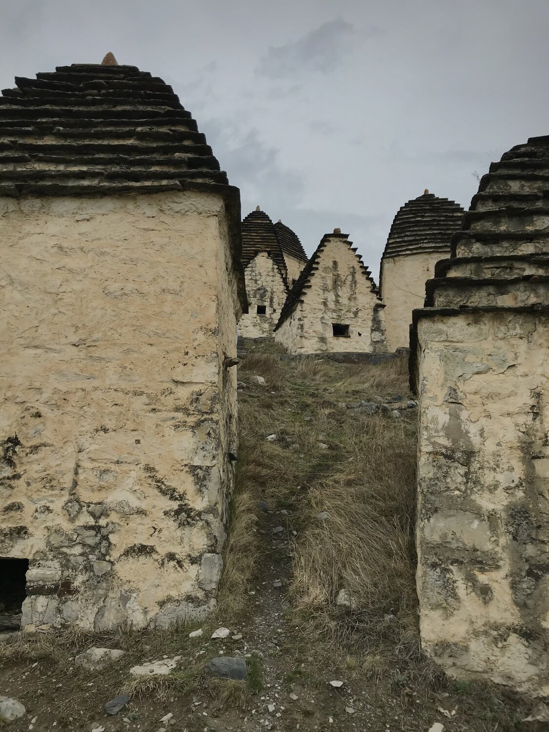 Photo #14104167