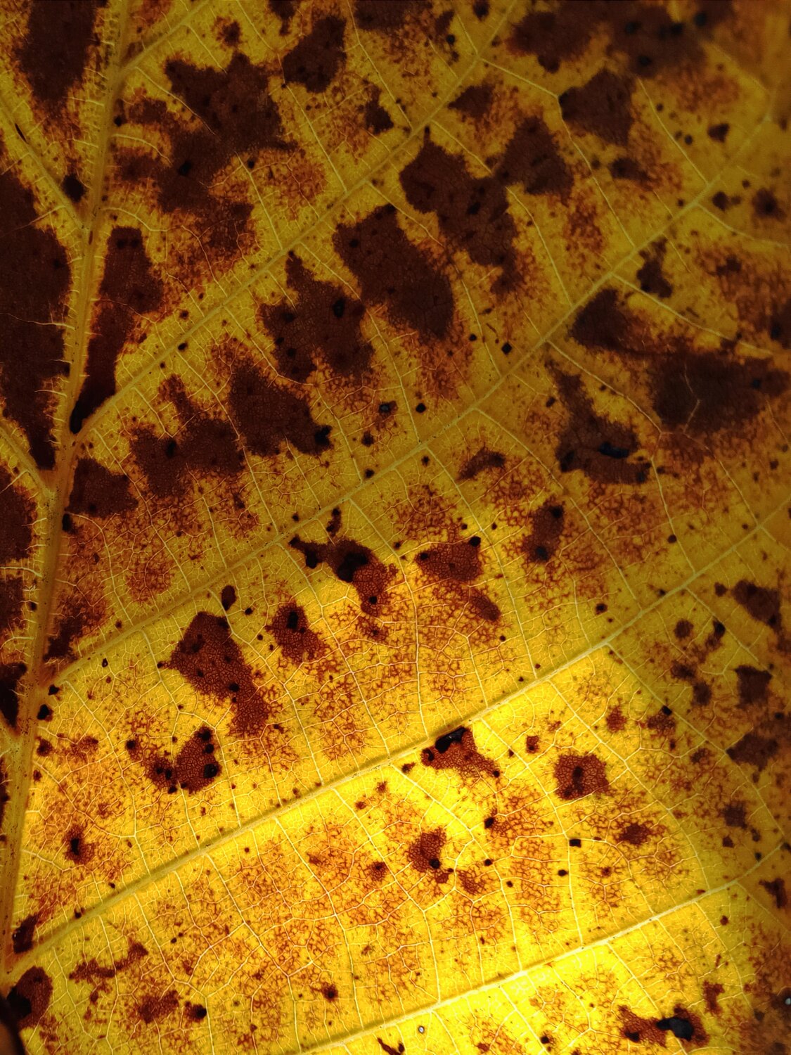 Photo #14104235