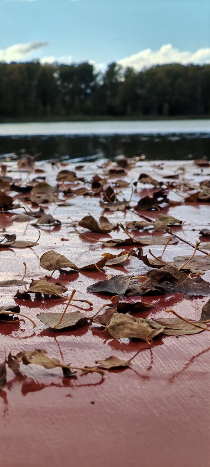 Photo #14104242