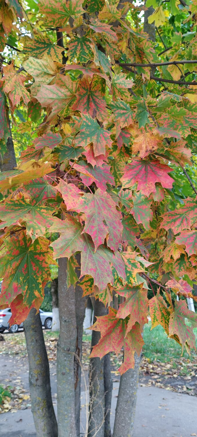 Photo #14104253