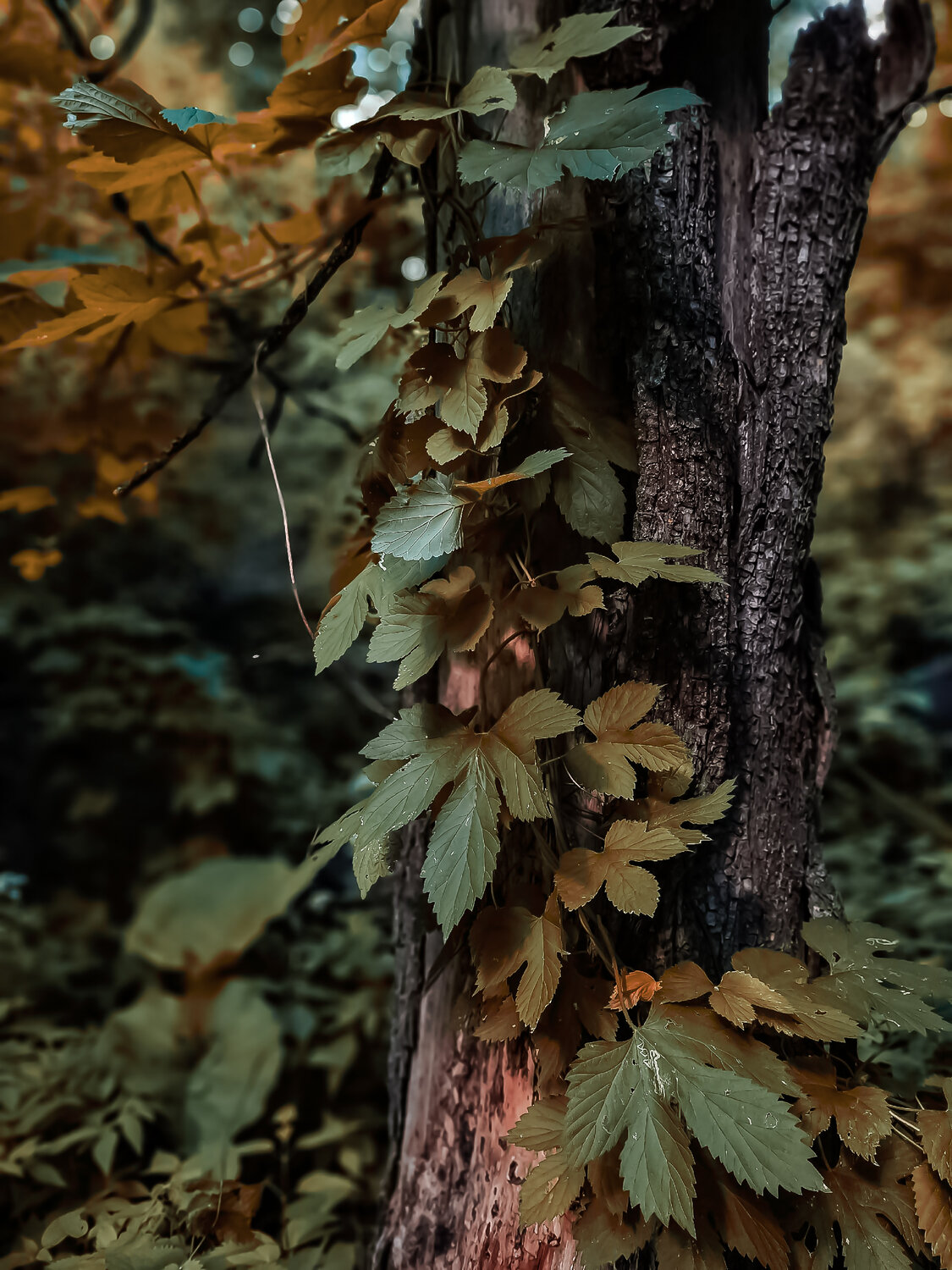 Photo #14104338