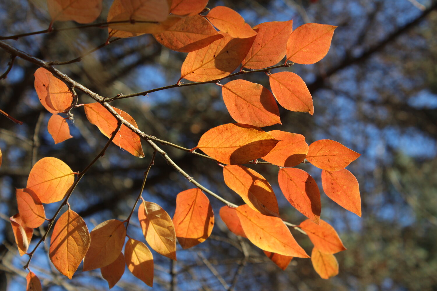 Photo #14104347