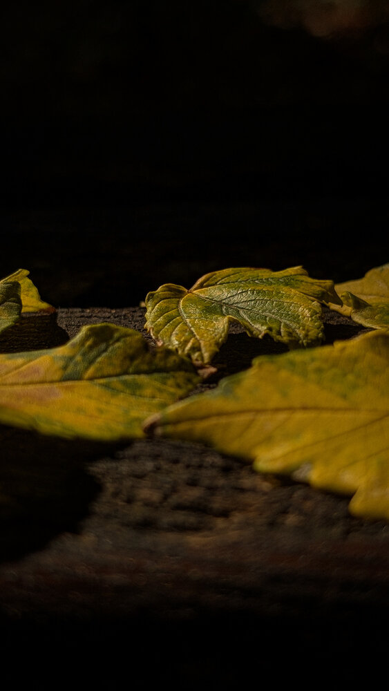 Photo #14104431